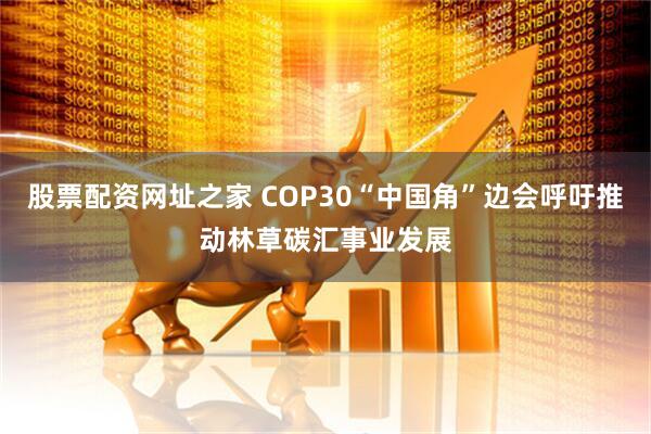 股票配资网址之家 COP30“中国角”边会呼吁推动林草碳汇事业发展